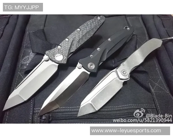 S15LOL精英赛FPX技术表现全面解析与战术分析